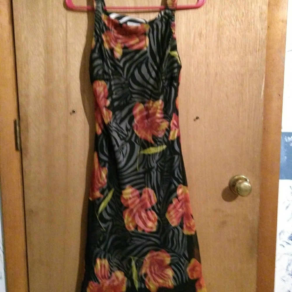 Beautiful zebra print dress